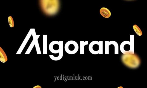 1 Algorand kaç TL? ALGO coin kaç TL? ALGO (Algorand) ne kadar? Algorand Coin kaç dolar? 1 ALGO kaç dolar?