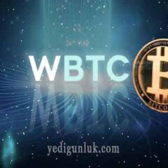 1 Wrapped Bitcoin kaç TL? WBTC coin kaç TL? WBTC (Wrapped Bitcoin) ne kadar? Wrapped Bitcoin Coin kaç dolar? 1 WBTC kaç dolar?