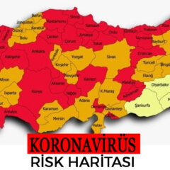 Koronavirüs risk Haritası