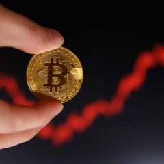 Kripto Paralarda Son Durum Ne? Bitcoin neden yükseliyor?