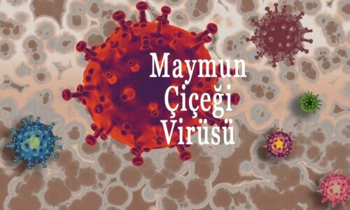 Maymun Çiçeği Virüsü Hangi Ülkelerde Görüldü?