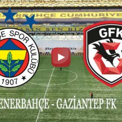 Fenerbahçe Gaziantep FK maçı ne zaman hangi kanalda?